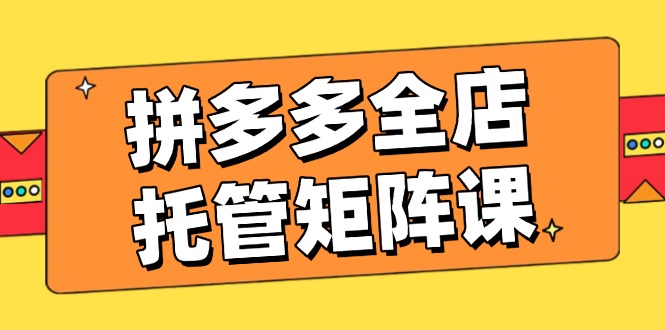 拼多多全店托管矩阵课，盈利动销玩法，高效计划设置，提升店铺效益-清风