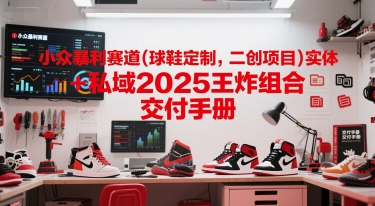 小众暴利赛道(球鞋定制，二创项目)实体+私域2025王炸组合  交付手册-清风