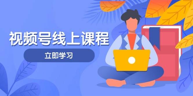 视频号实战课程，轻IP打造与运营技巧，掌握核心方法与策略-清风
