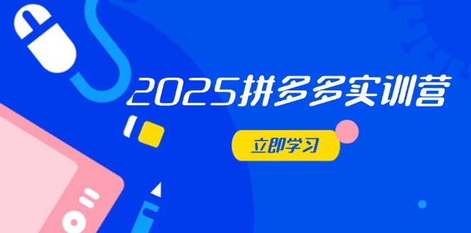2025拼多多实训营：深度剖析运营关键，助力电商人快速提升-清风