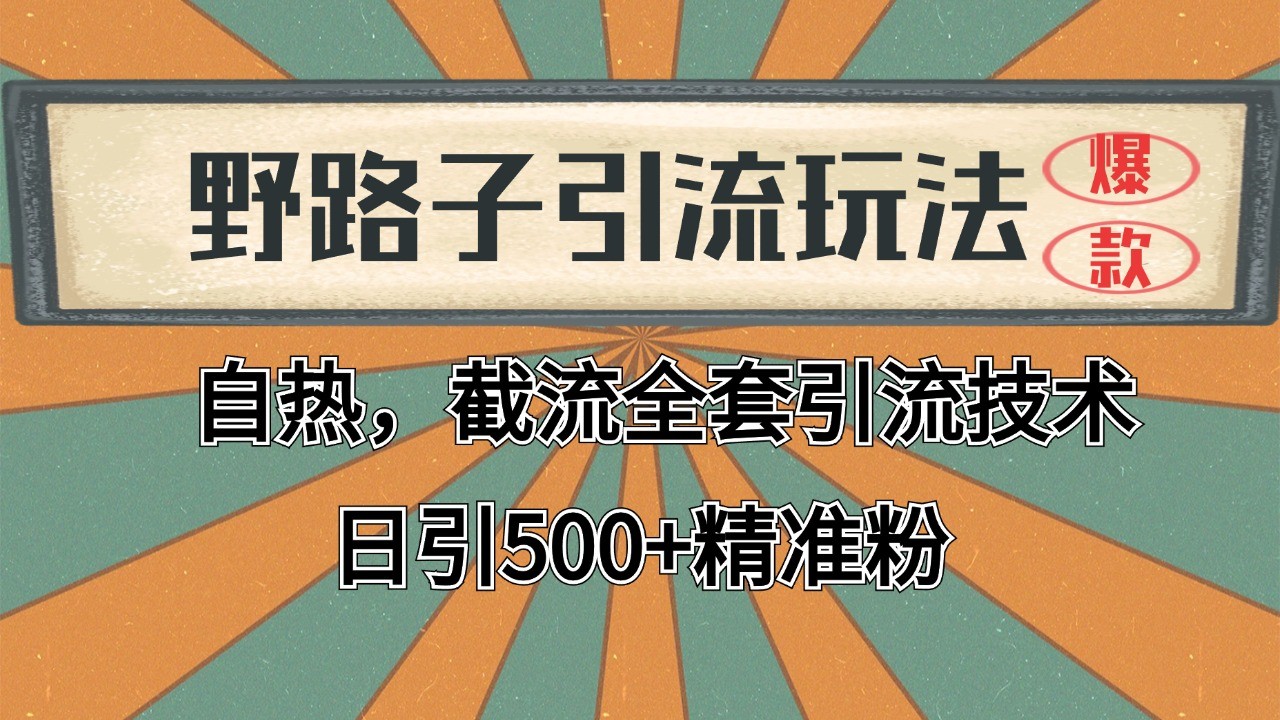 2024首发野路子引流玩法截流自热全平台打法，全自动引流【日引2000+精准客户】-清风