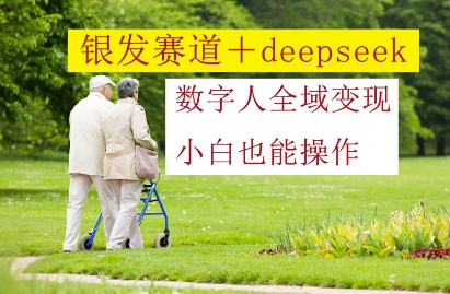 银发赛道+deepseek数字人全域变现，小白也能操作-清风