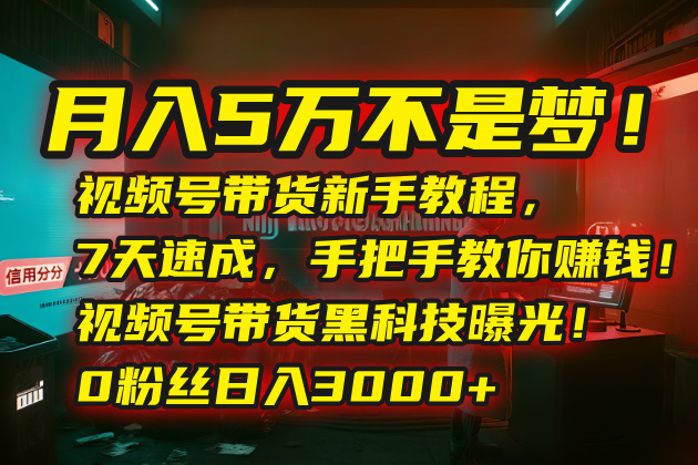 月入5万不是梦！视频号带货新手教程，7天速成，手把手教你赚钱！视频号…-清风