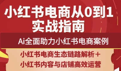 天诺老吴·2025小红书电商全链路运营-清风