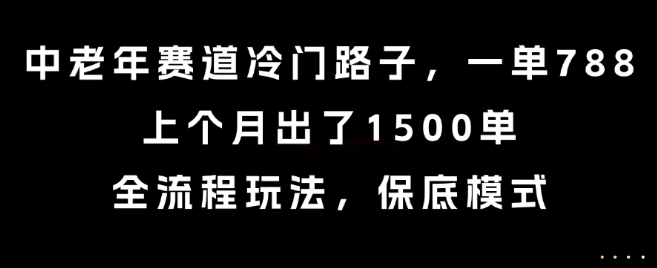 中老年赛道冷门路子，一单788，上个月出了1500单，全流程玩法，保底模式【揭秘】-清风