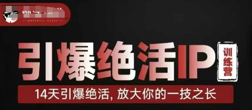引爆绝活IP训练营，14天引爆绝活，放大你的一技之长-清风