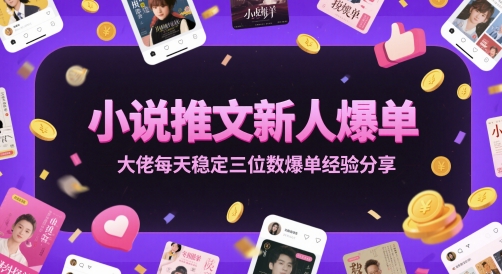 小说推文新人爆单大佬每天稳定三位数爆单经验分享-清风