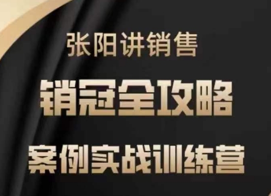 张阳讲销售实战训练营，​案例实战训练，销冠全攻略-清风