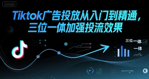 Tiktok广告投放从入门到精通，三位一体加强投流效果-清风
