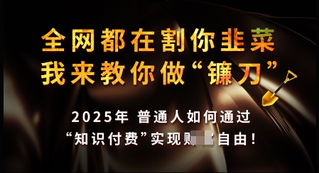 知识付费如何做到月入过W+，2025我来教你做“镰刀”【揭秘】-清风