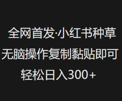 全网首发，小红书种草无脑操作，复制黏贴即可，轻松日入3张-清风