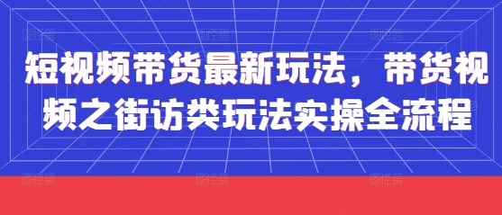 短视频带货最新玩法，带货视频之街访类玩法实操全流程-清风
