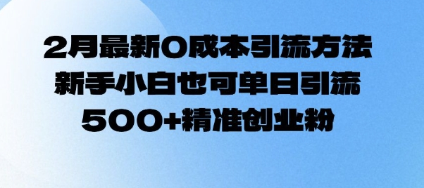 2月最新0成本引流方法，新手小白也可单日引流500+精准创业粉-清风
