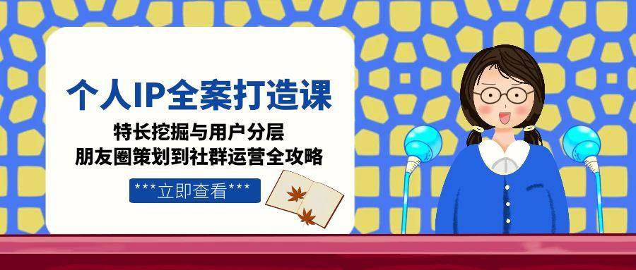 个人IP全案打造课，特长挖掘与用户分层，朋友圈策划到社群运营全攻略-清风