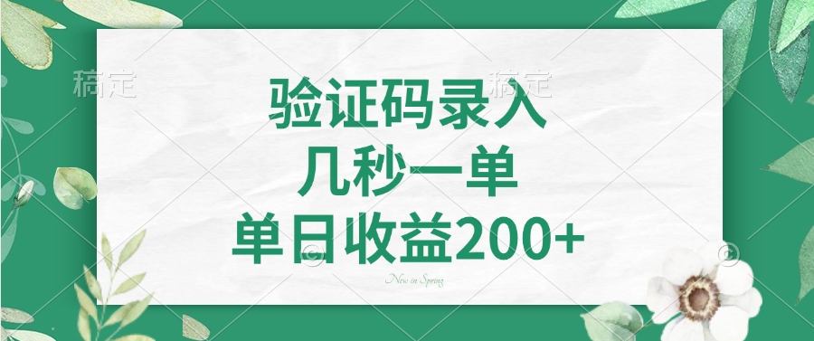 验证码录入，几秒一单，单日收益200+-清风