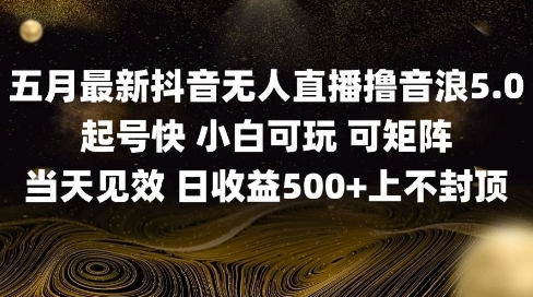 2025五月最新无人直播撸音浪单日产出5张+实操教程【揭秘】-清风