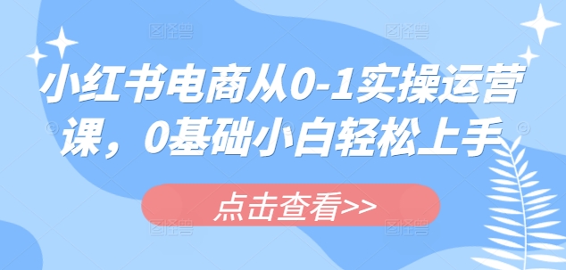 小红书电商从0-1实操运营课，0基础小白轻松上手-清风