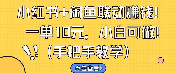 小红书+闲鱼联动挣钱，一单10元，小白可做-清风