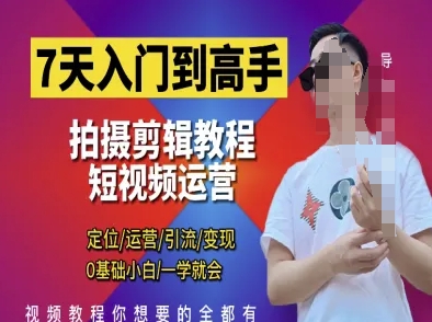 7天入门到高手，短视频剪辑运营高手课，定位 运营 引|流 变现，0基础小白一学就会-清风