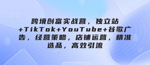 跨境创富实战营，独立站+TikTok+YouTube+谷歌广告，经营策略，店铺运营，精准选品，高效引流-清风