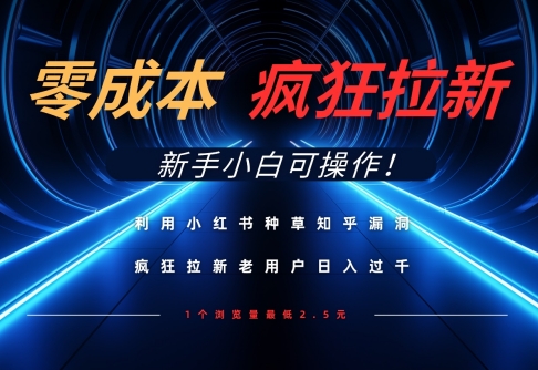 利用小红书种草知乎漏洞，零成本疯狂拉新日入数张，新手小白可操作-清风