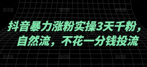 抖音暴力涨粉实操3天千粉，自然流，不花一分钱投流，实操经验分享-清风