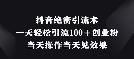 抖音绝密引流术，一天轻松引流100+创业粉，当天操作当天见效果-清风