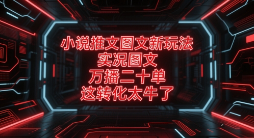 小说推文图文新玩法，实况图文，万播二十单，这转化太牛了！-清风