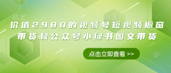 价值2980的视频号短视频橱窗带货和公众号小绿书图文带货-清风