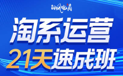 白凤电商·淘系运营21天速成班(更新3月)-清风