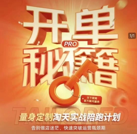淘宝开单秘籍PRO，量身定制淘天实战陪跑计划，告别做店迷茫、快速突破运营瓶颈期(更新)-清风