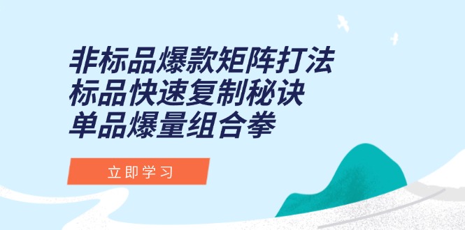 非标品爆款矩阵打法，标品快速复制秘诀，单品爆量组合拳-清风