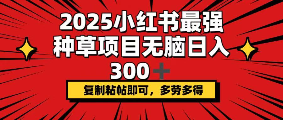 2025小红书最强种草项目，无脑日入300+，复制粘帖即可，多劳多得-清风