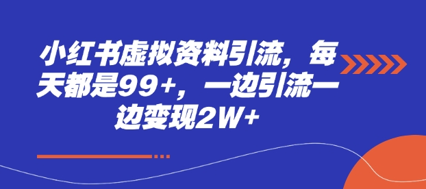 小红书虚拟资料引流，每天都是99+，一边引流一边变现2W+-清风