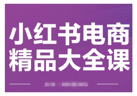 小红书电商精品大全课，快速掌握小红书运营技巧，实现精准引流与爆单目标，轻松玩转小红书电商(更新2月)-清风