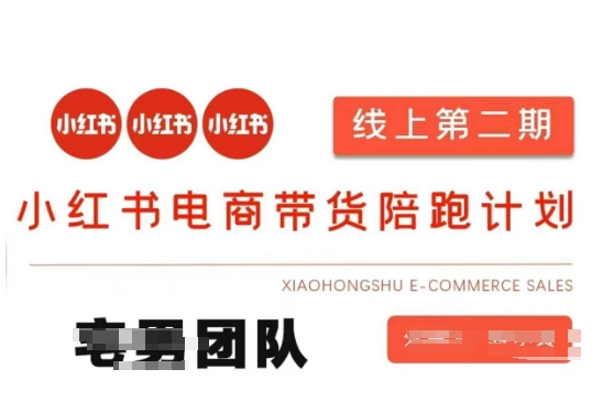 小红书电商带货课2期，月利润20个的小红书电商的有货源，无货源，虚拟产品，付费投流等整套玩法-清风