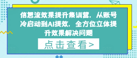 信息流效果提升集训营，从账号冷启动到AI提效，全方位立体提升效果解决问题-清风