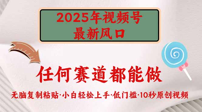 2025年视频号新风口，低门槛只需要无脑执行-清风