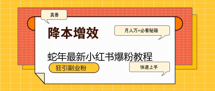 蛇年最新小红书爆粉教程，狂引副业粉，月入万+必看-清风
