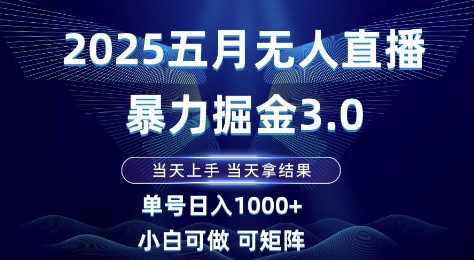 2025五月无人直播暴力掘金3.0，当天上手，当天拿结果，单号日入1k+小白可做可矩阵【揭秘】-清风