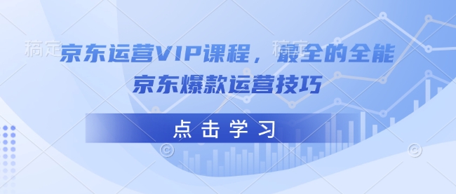 京东运营VIP课程，最全的全能京东爆款运营技巧-清风