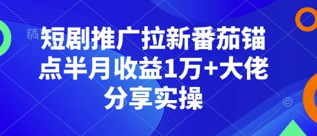 短剧推广拉新番茄锚点半月收益1万+大佬分享实操-清风
