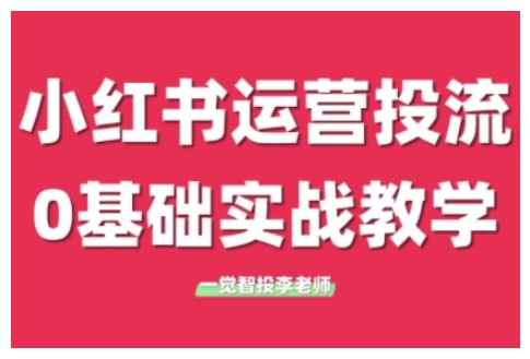 小红书运营投流，小红书广告投放从0到1的实战课，学完即可开始投放(更新)-清风