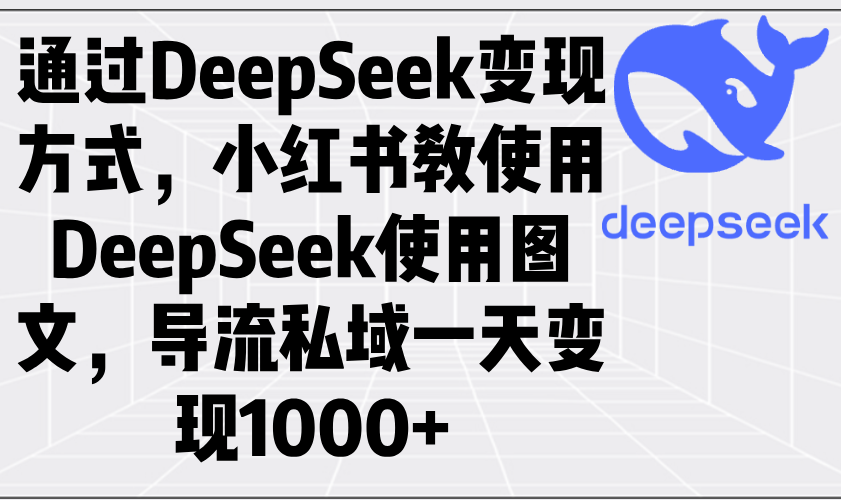 通过DeepSeek变现方式，小红书教使用DeepSeek图文，导流私域一天变现1000+-清风