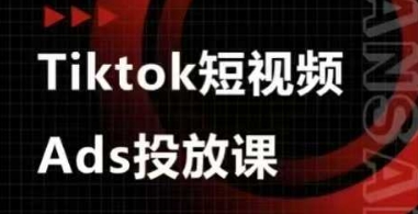 Ads视频投放课，tiktok短视频广告投放课-清风