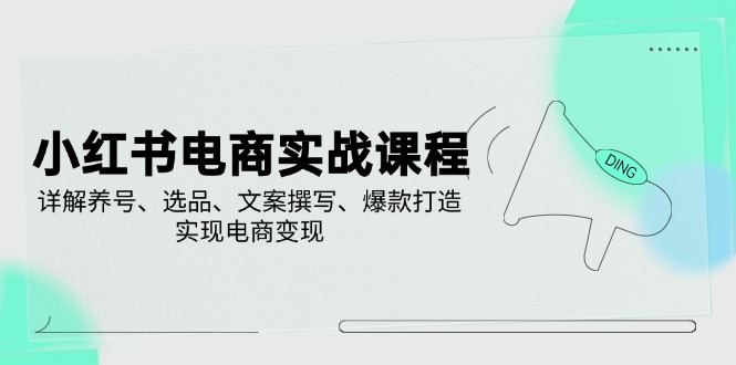 小红书电商实战课程，详解养号、选品、文案撰写、爆款打造，实现电商变现-清风