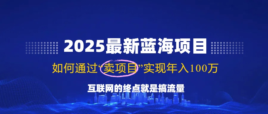 2025最新蓝海项目，零门槛轻松复制，月入10万+，新手也能操作！-清风