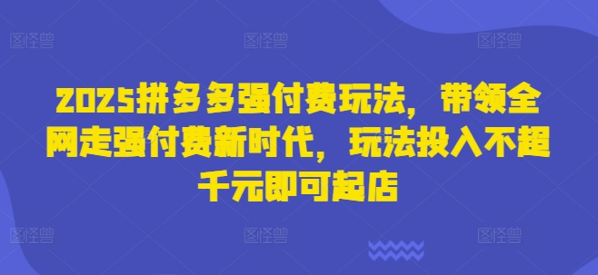 2025拼多多强付费玩法，带领全网走强付费新时代，玩法投入不超千元即可起店-清风