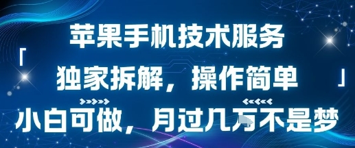 苹果手机技术服务，独家拆解，操作简单，小白可做，月过1W不是梦-清风