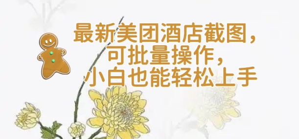 【轻云】最新美团酒店截图，可批量操作，小白也能轻松上手-清风